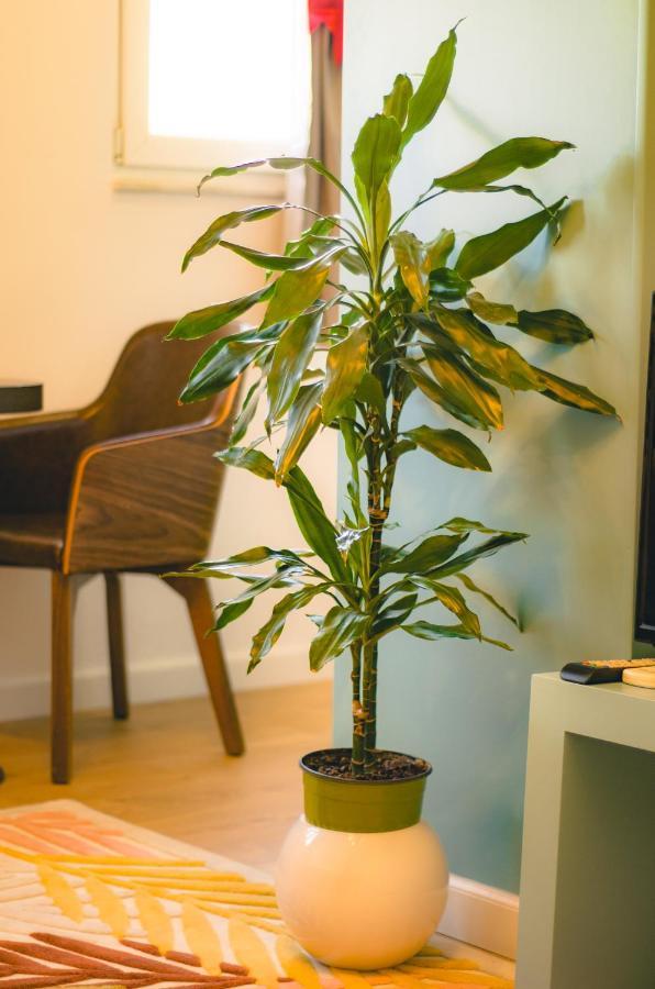 Bright Apartment Close To City Center Tirana Zewnętrze zdjęcie